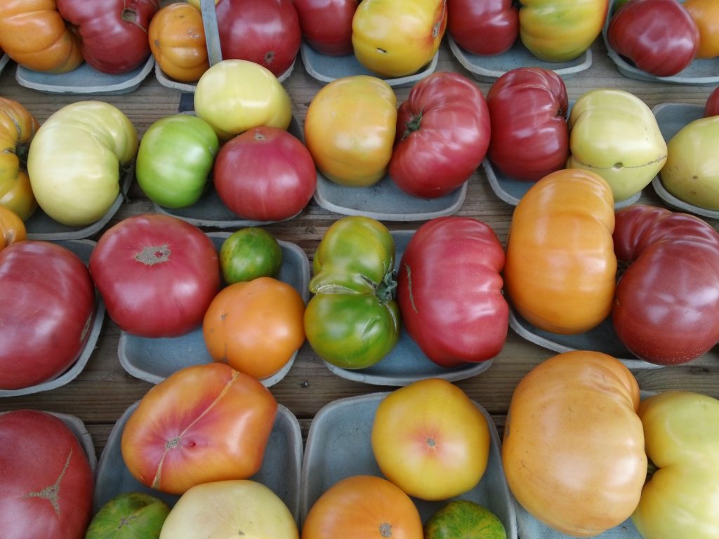 Tomatoes at the farmer's market.